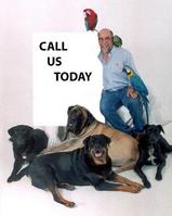 Man with four large dogs and a sign saying 'CALL US TODAY'.