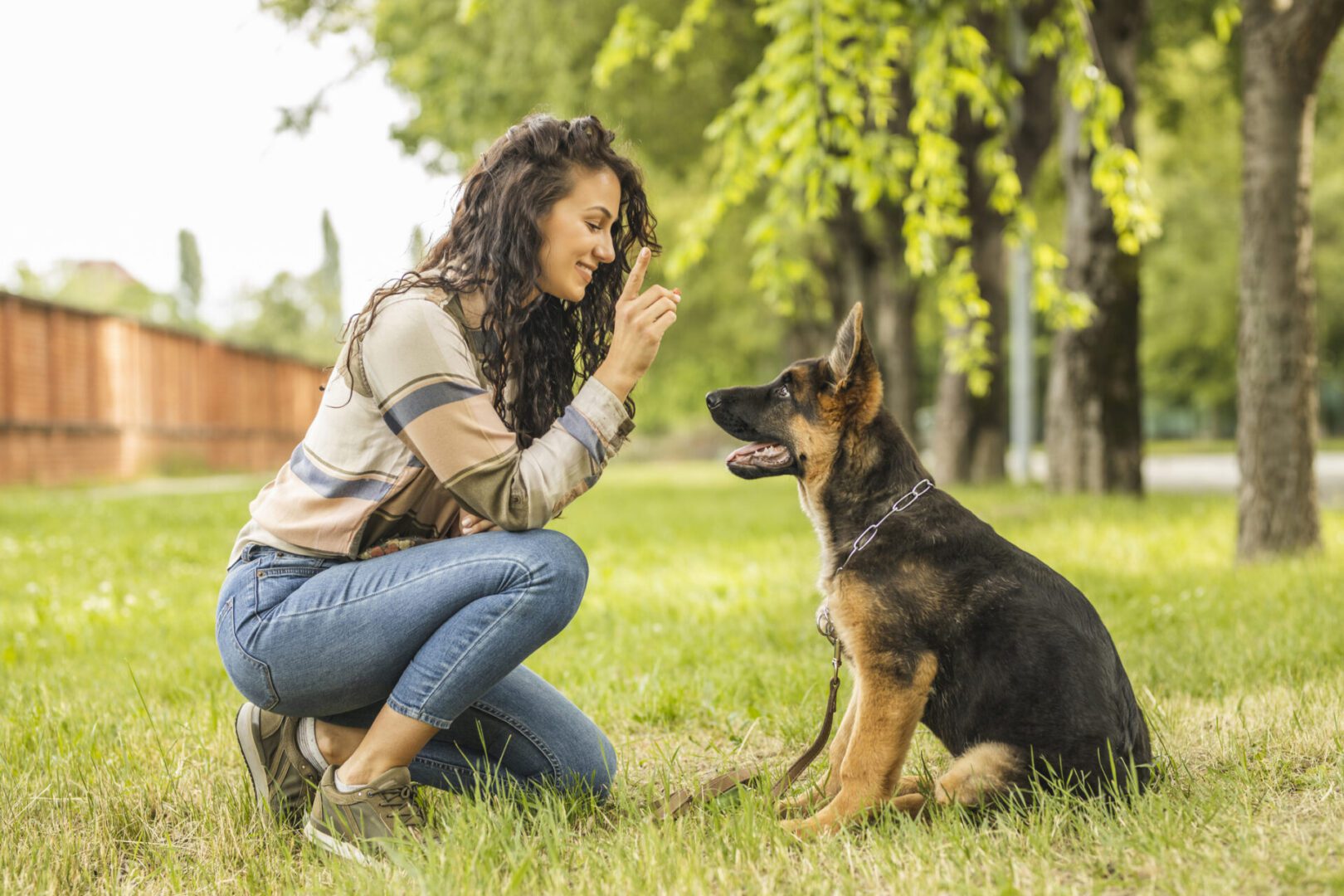 Woman playing with her dog at the park Woman training German Shepherd puppy outdoors.