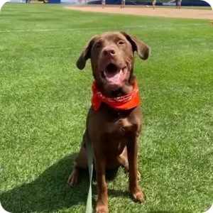 happy students 002